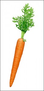 carrot